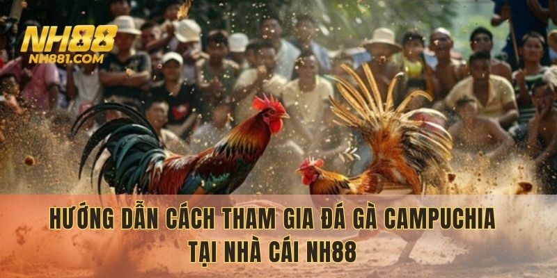 Hướng dẫn chi tiết các tham gia đá gà Campuchia tại NH88
